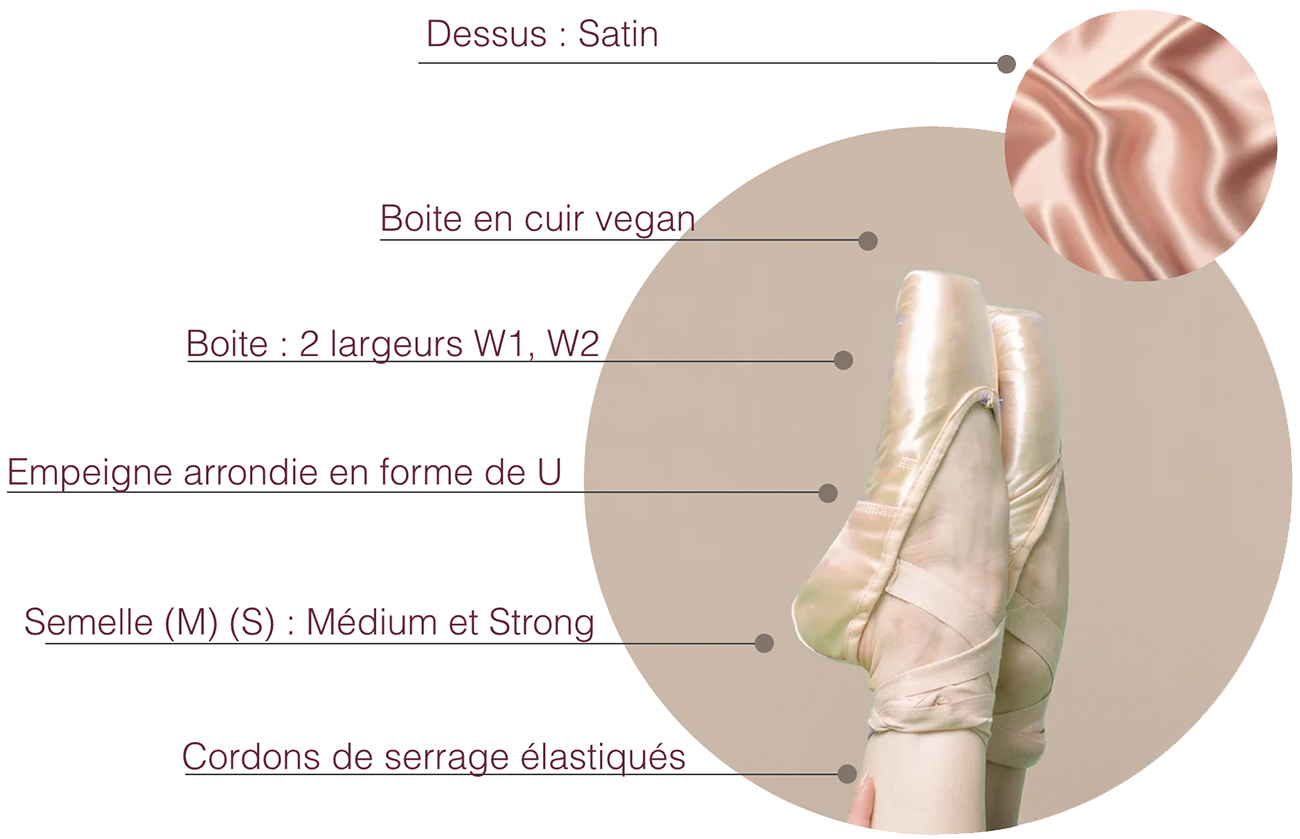 home-pointes-2-1